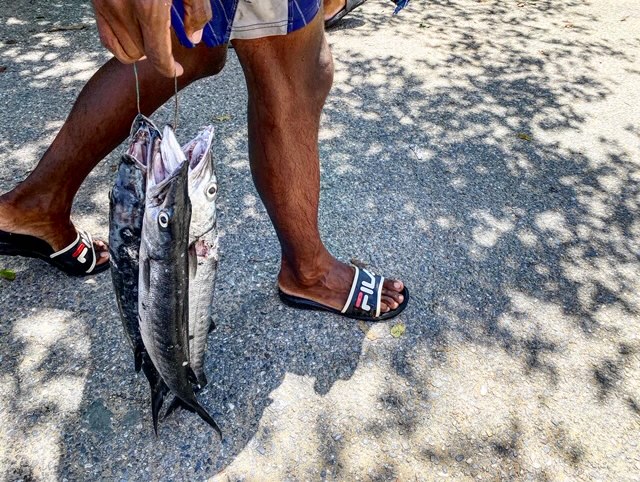 VENEZUELA: ASí SON LOS PUEBLOS (FANTASMA) DE PESCADORES LIBRE DE CORONAVIRUS